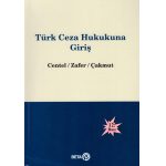 turk-ceza-hukukuna-giris-6-4041